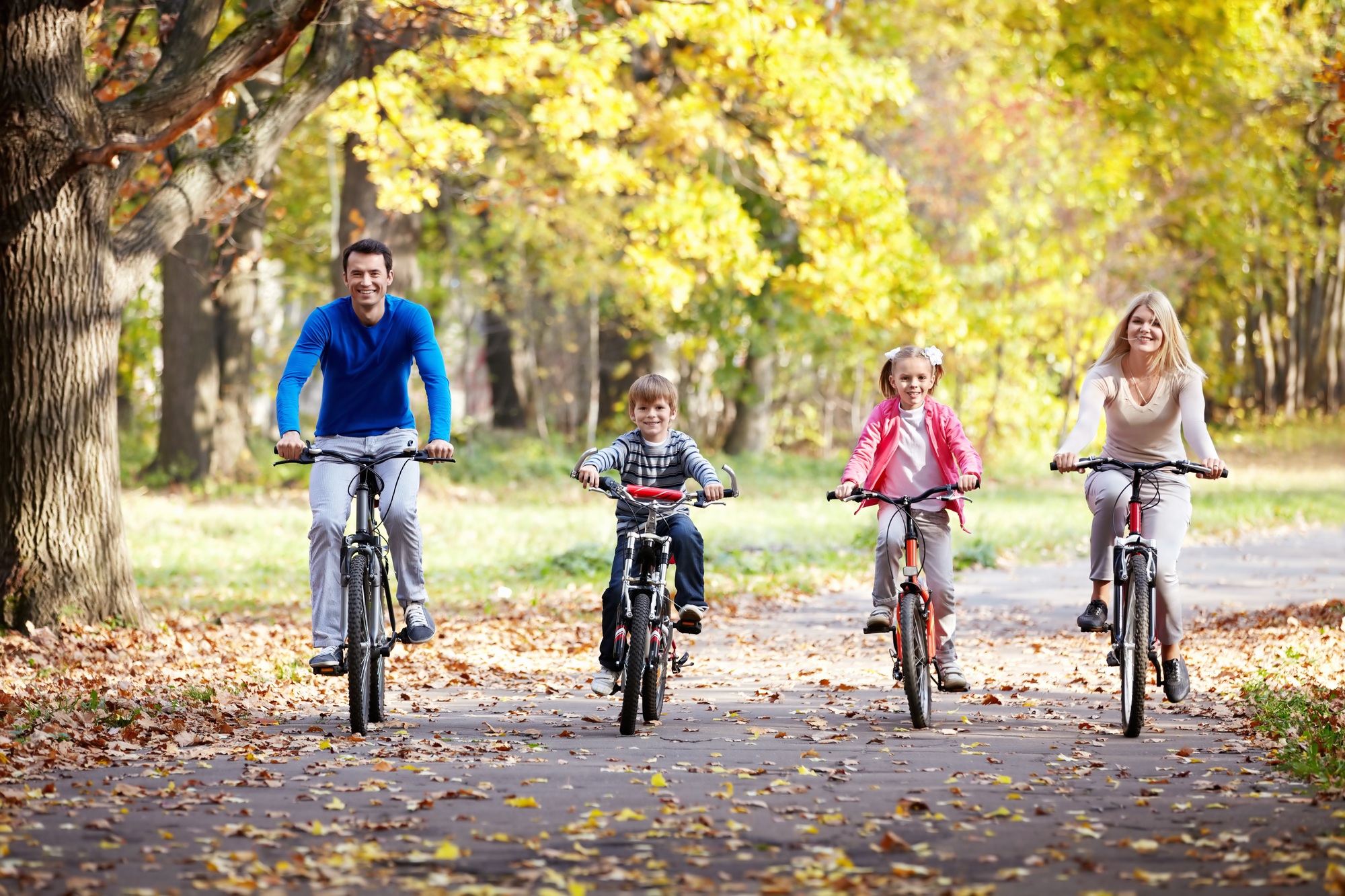 Family on bikes