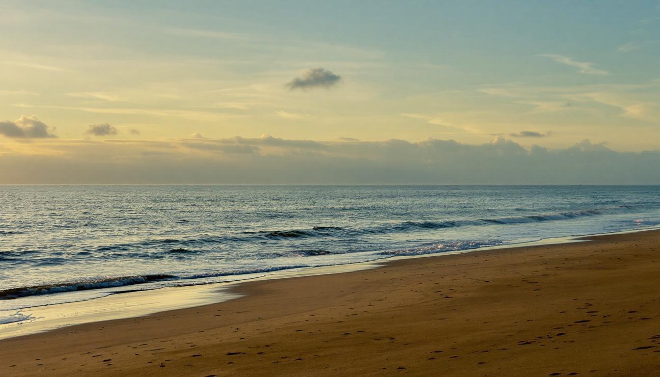 explorez notre sélection des meilleures boutiques en ligne pour trouver un calendrier de l'avent unique et mémorable. offrez-vous ou offrez un compte à rebours festif rempli de surprises exceptionnelles.