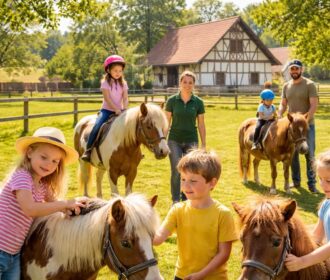 Découvrez le poney ranch à Herbsheim comme destination idéale pour vos enfants